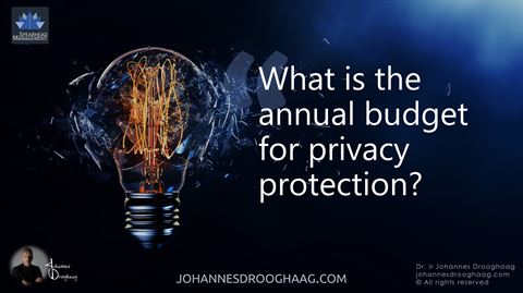What is the annual budget for privacy protection?